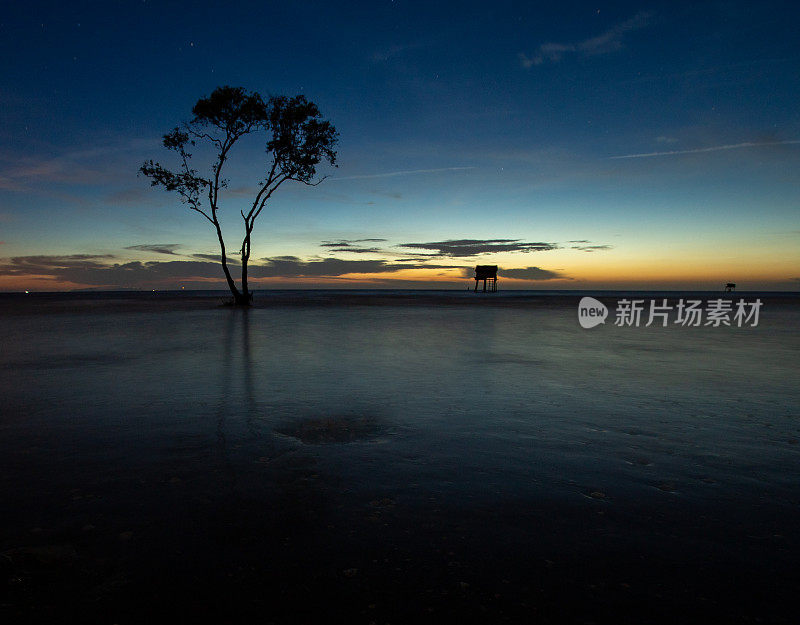 日出在海上与蛤蜊小屋和孤独的软木树，Tan Thanh海滩，天江省